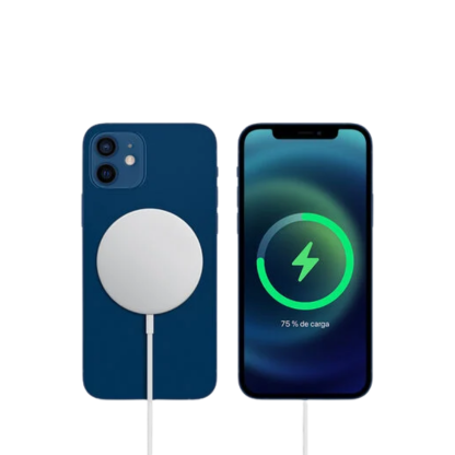 Apple Magsafe charger